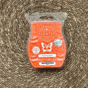 Scentsy Wax Bar